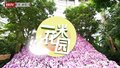一米花园｜没想到在北京的冬天也能看到很多美丽的热带植物