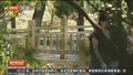 《都市晚高峰》20250622