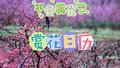 拿捏花期！2025 平谷赏花打卡日历