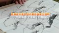 旅游途中意外结识著名画家王道明 千里邮寄墨宝送来“虾趣图”
