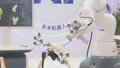 打造夏日北京“机器人嘉年华” 600余件创新产品齐聚亦庄