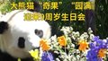 大熊猫“奇果”“园满”迎来9周岁生日会