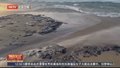 黑海港口城市塞瓦斯托波尔因海岸发现油污进入紧急状态