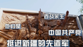 百战余生，他们是挺进新疆的先遣军