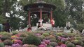 北京朝阳花园节下周开幕 九大公园邀您共赴浪漫花事