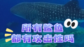 所有鲨鱼都有攻击性吗？
