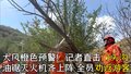 北京大风橙色预警！记者直击门头沟：油锯灭火机齐上阵 全员劝返游客