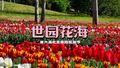 第六届北京国际花园节在世园公园启幕
