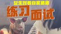 女生对着自家猪猪练习面试内容，网友：真是好小众的练习对象呢