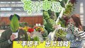 你的朋友圈该上新了！花花怎么拍？记者“手把手”出片攻略！