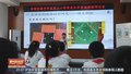 “操场重建”走进课堂  创新实践跨学段融合教育