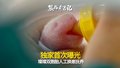 独家视频首次发布！新手双胞胎熊猫妈妈咋带娃