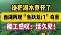 谁把湖水煮开了！雨后西湖再现“鱼跃龙门”奇景 船工感叹：活久见