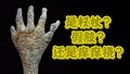 假如文物会说话｜沉睡三千年的青铜右手用途至今成谜？？