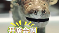 殷商文物天团来北京出差了，收好文物“演出值班”表，千万别错过！