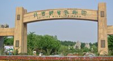 北京野生动物园引名犬迎狗年 春节期间举办庙会