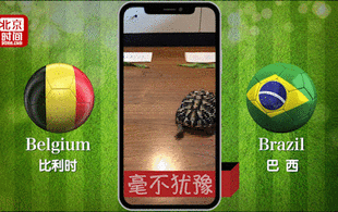 世界杯神龟疯狂预测：巴西高歌猛进 比利时失利回家