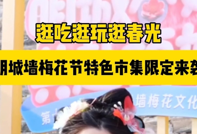 明城墙梅花节特色市集限定来袭！解锁京城春日浪漫