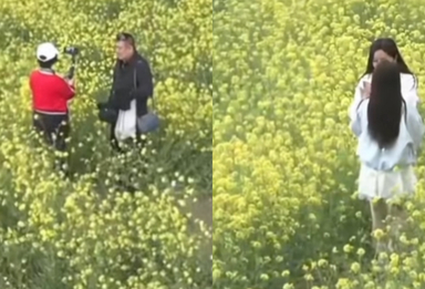 百亩油菜花海正在盛开，来赴一场金色之约