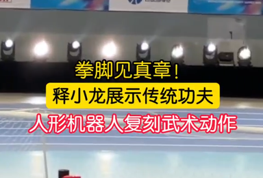 拳脚见真章！释小龙演绎传统功夫力量，机器人一招一式完美复刻