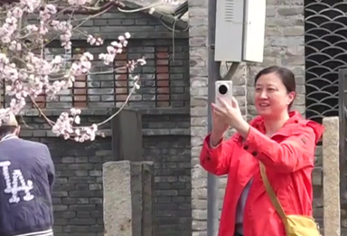 不负京华好春光｜前门三里河成春日热门打卡地