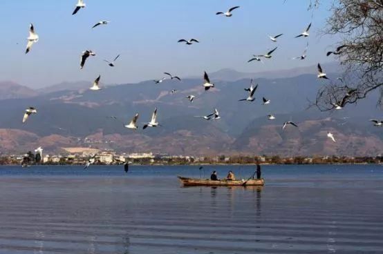 七彩西昌 | 厉害了,西昌入围全面小康城市全国百