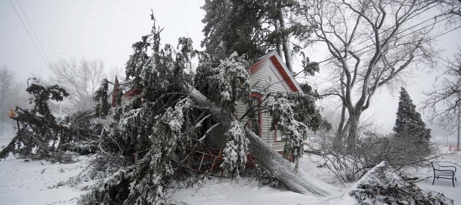 当地时间3月13日，美国科罗拉多州丹佛华盛顿公园的一所房屋被暴风雪覆盖。据报道，一股强劲的“炸弹气旋”本周将再次为美国多地带来恶劣天气，包括飓风、大雨，甚至暴风雪，一些地区还会有洪涝出现，预计影响美国8000万居民。