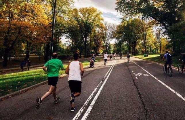 跑1500米的4大要领和技巧,你真的应该这么做