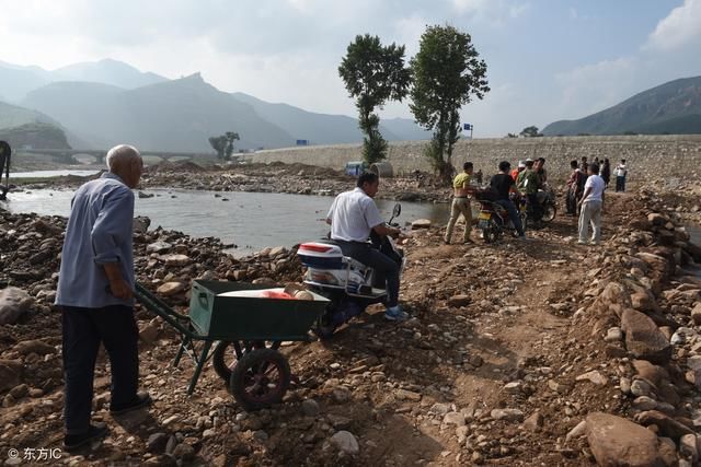 农村农民种小麦,一亩地赔了300元 网友:一气之