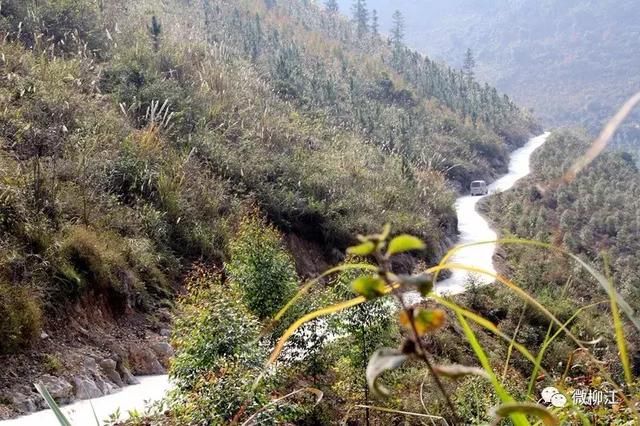 柳江区人民政府2018年为民办实事项目都有哪