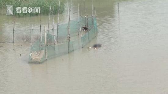 谋杀还是自杀?河面惊现男尸 脚踝处被绑钢丝 谋杀还是自杀?河面惊现男尸 脚踝处被绑钢丝