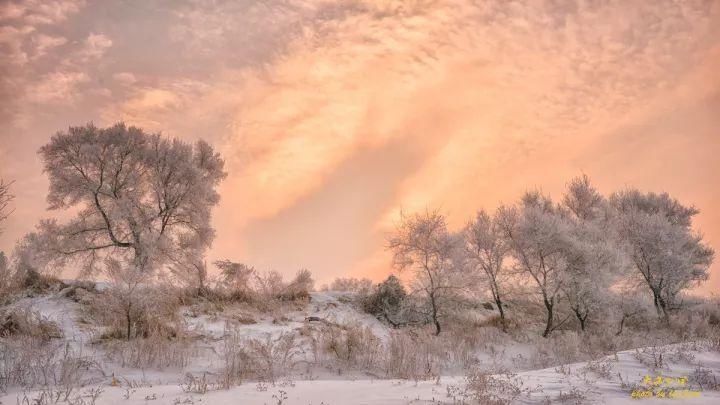 松花江上雾凇美景,中国四大自然奇观之一