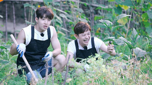 蘑菇屋向往的生活全集免费 t010212c10cb52b1b22.jpg?size=500x281