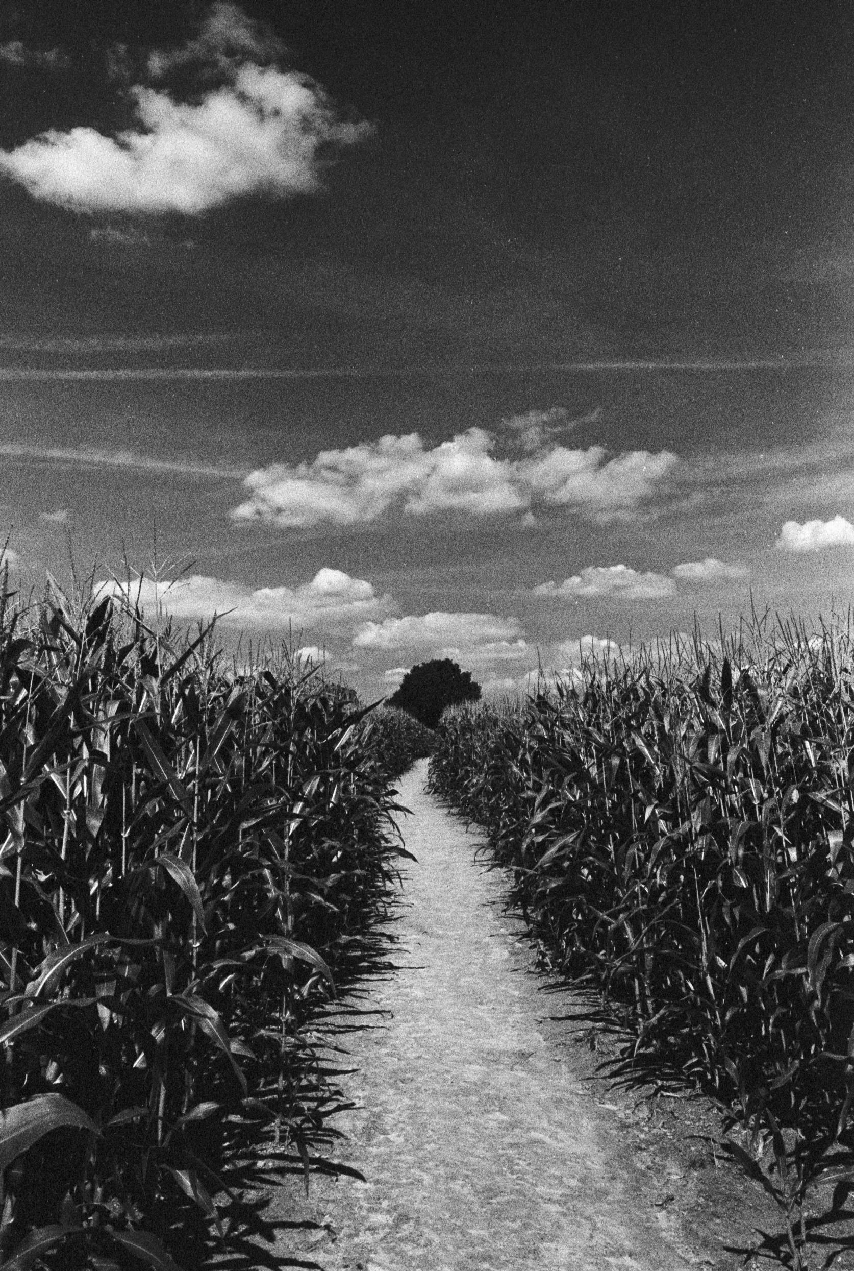 迫冲,黑白胶片摄影的另一魅力所在丨数字尾巴