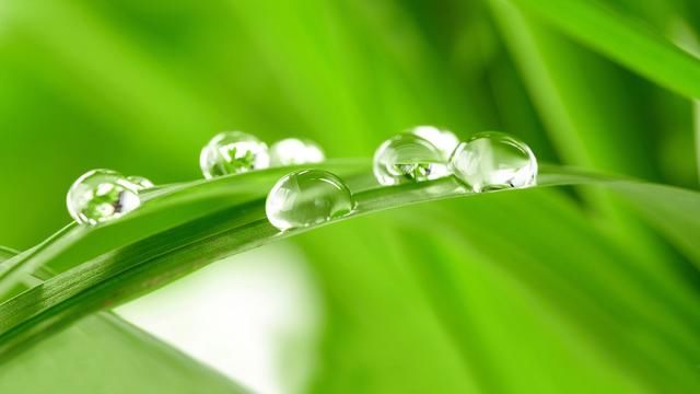 100张高清桌面护眼壁纸 让你的PC大放异彩