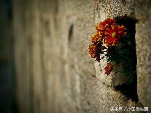 2018走心的短句励志个性签名,励志成熟走心的