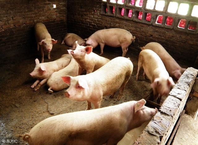 2018年养殖场的拆迁补偿标准是多少?养殖户一