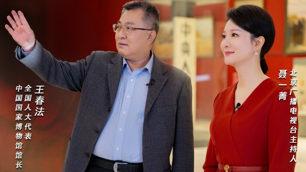 对话中国国家博物馆馆长王春法（1）