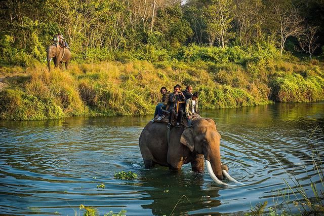 在非洲 10个做生意的中国人 7个名利双收?难怪