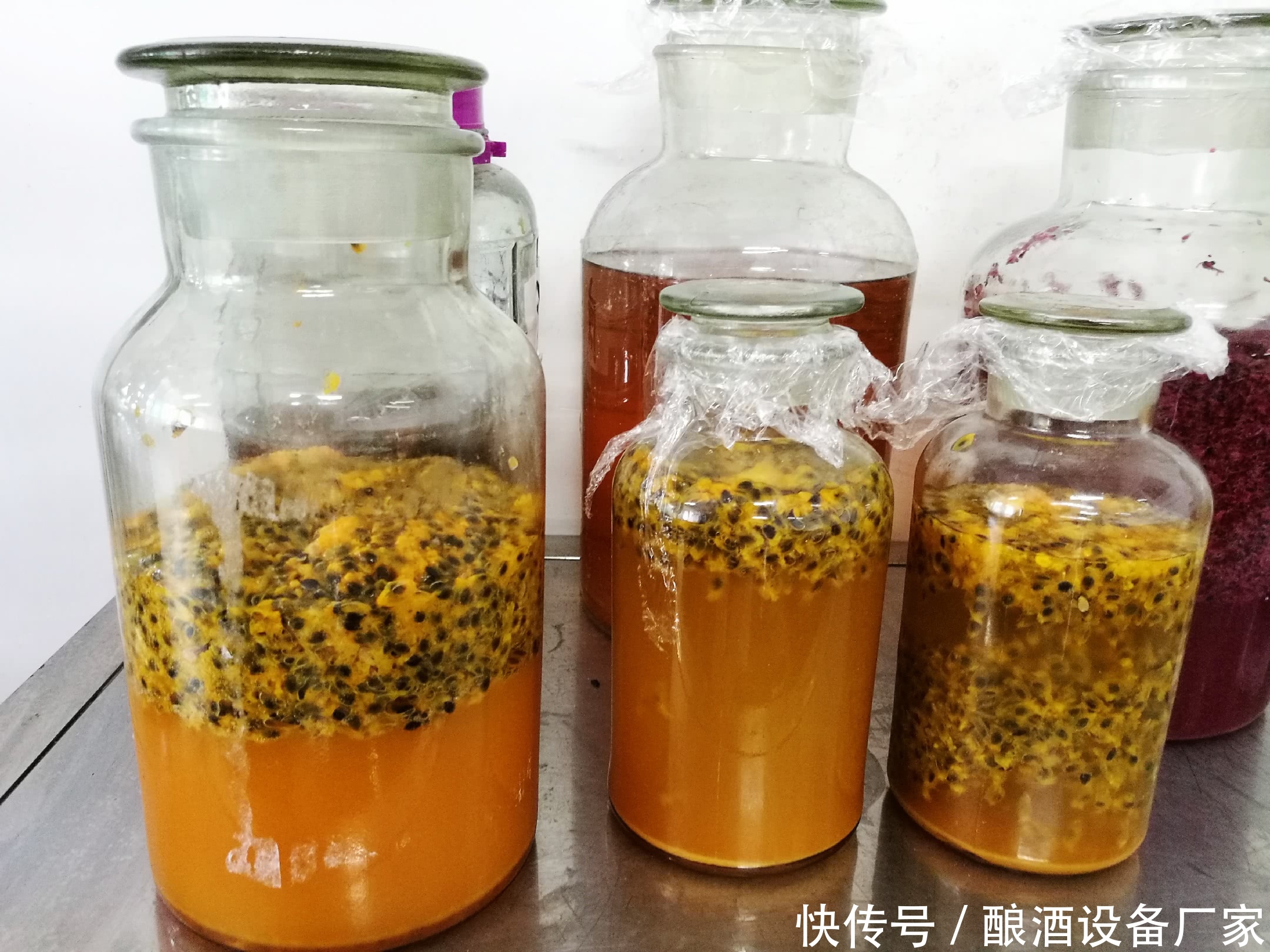 果酒技术-纯百香果发酵酒技术