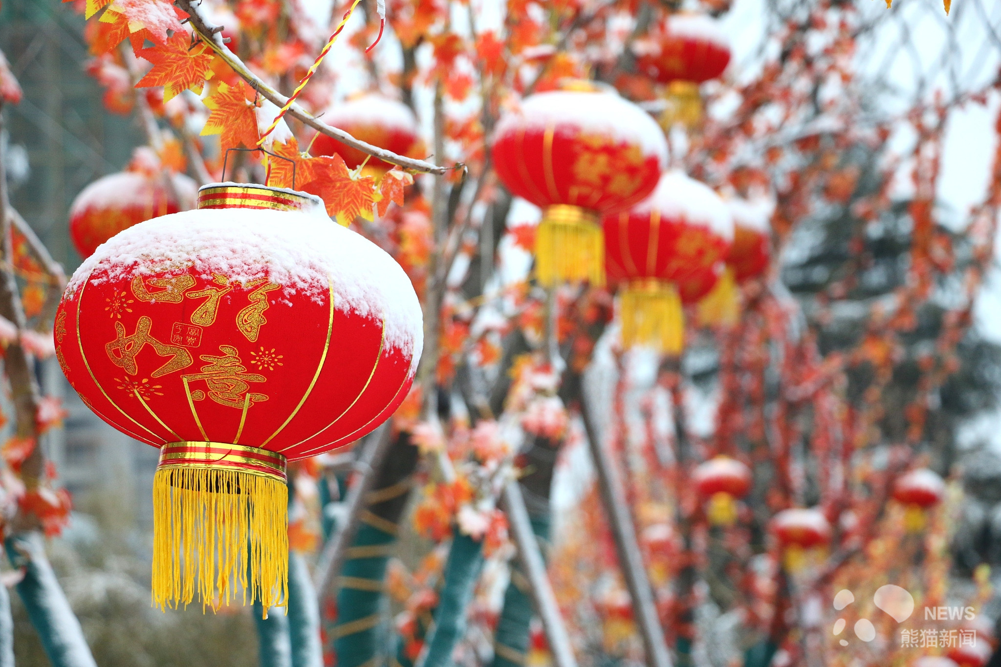 春节前夕 全国多地迎来降雪天气