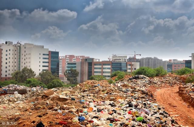印度最大的垃圾场,人一般大的鸟和人一起捡拾垃圾