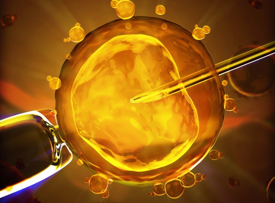 香港试管婴儿医院标准流程7步骤中,首诊检查与