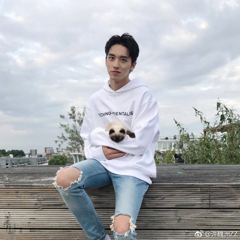 [许魏洲][新闻]170704 许魏洲微博更新 伦敦阳台的少年与猫