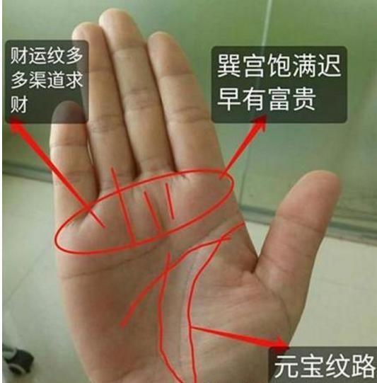2:"元宝纹"是比较难形成的,不管男女,拥有此手相纹路的人,一生中少则