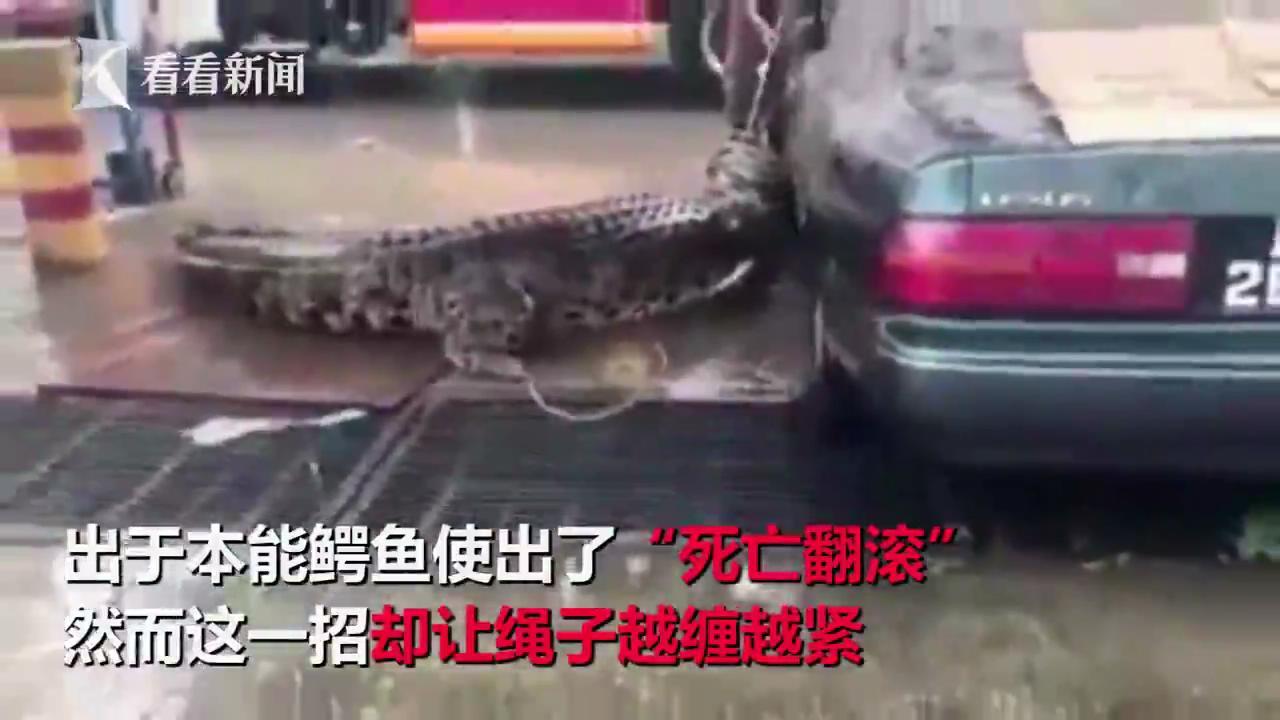 图为现场。