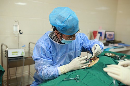 种一口好牙,弥补缺牙老人想吃不能吃的遗憾!