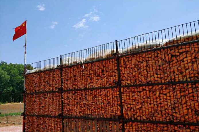 2018年东北玉米产区考察报告:减产成定局,程度