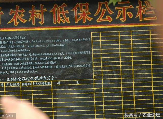 农民朋友有福利!农村低保住院报销最高可达60