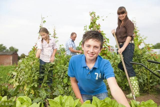 十九大后 农民期待更多的惠农政策落地生根